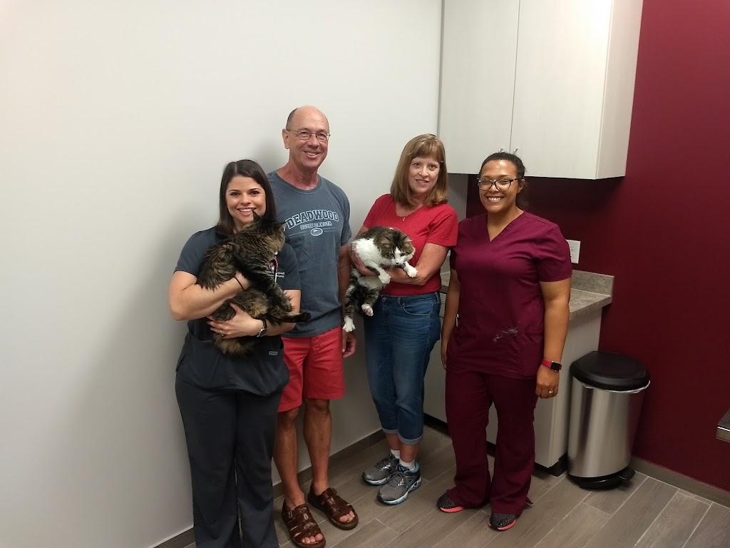 Above & Beyond Veterinary Hospital | 11625 Broadway St Suite 165, Pearland, TX 77584 | Phone: (281) 843-9069