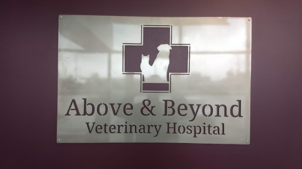 Above & Beyond Veterinary Hospital | 11625 Broadway St Suite 165, Pearland, TX 77584 | Phone: (281) 843-9069