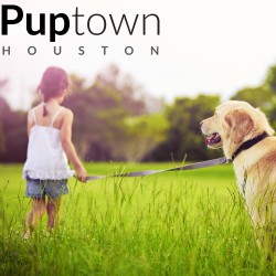 Puptown Houston | 14109 Aldine Westfield Rd, Houston, TX 77039 | Phone: (832) 930-0073